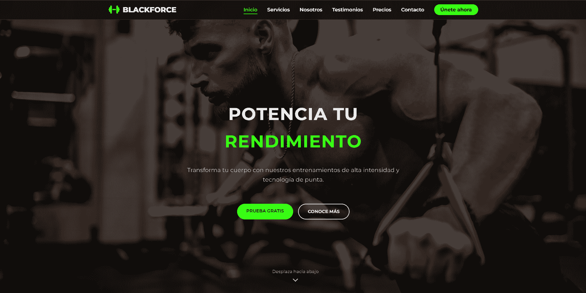 Proyecto Gimnasio Blackforce